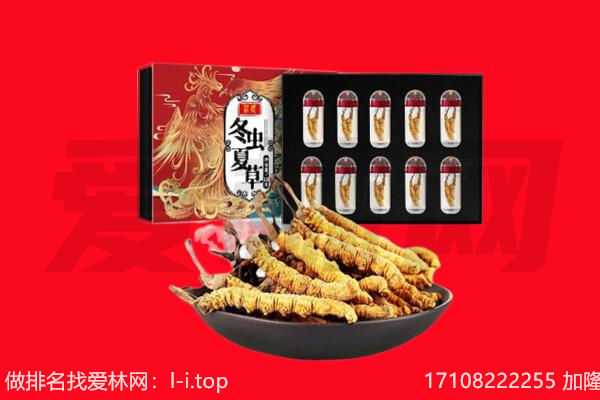 哈尔滨回收虫草.jpg